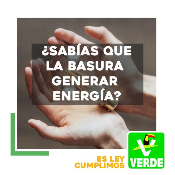 PARTIDO VERDE  APUESTA POR LAS ENERGÍAS RENOVABLES