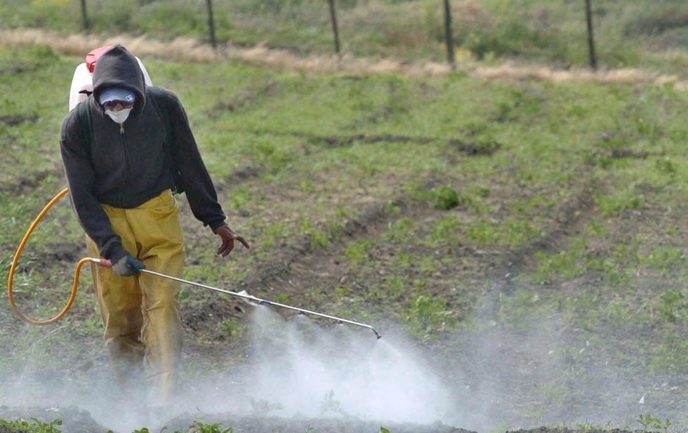 ‘Glifosato es seguro’, dice Bayer; ‘estará prohibido’.- CSP